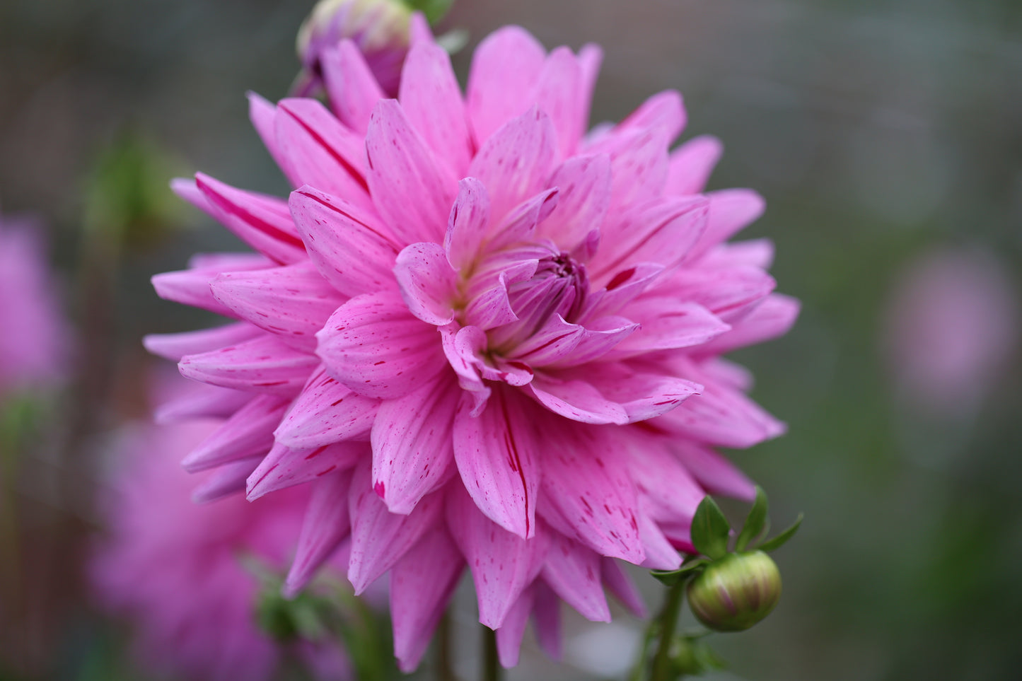 18th Surgical Hospital