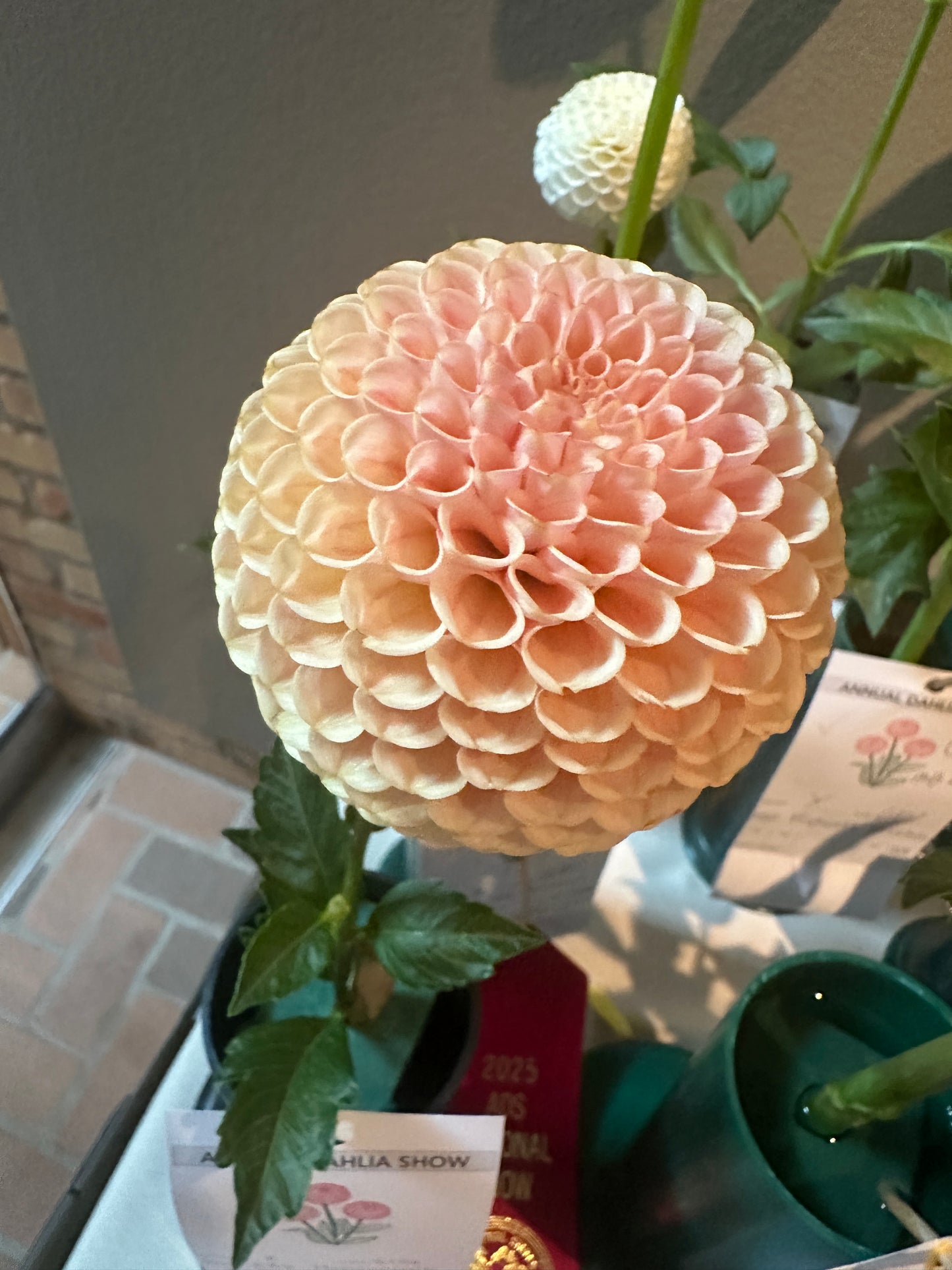 KA's® Honeycomb